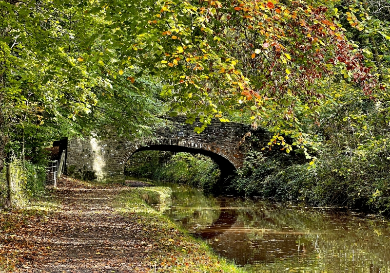 Baylis Bridge (Canal Bridge No 120), Llangattock, Powys - Photo 